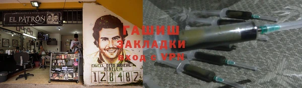 индика Ладушкин