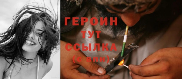индика Ладушкин