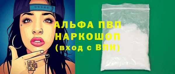 индика Ладушкин