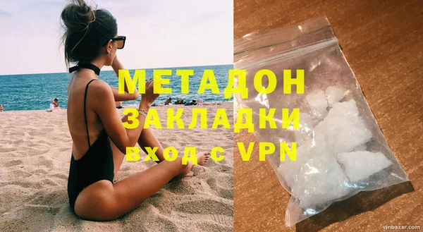 индика Ладушкин