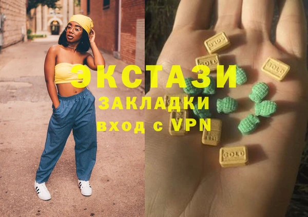 индика Ладушкин