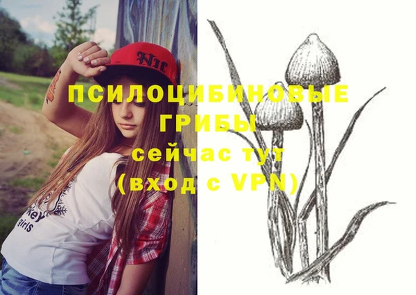 индика Ладушкин