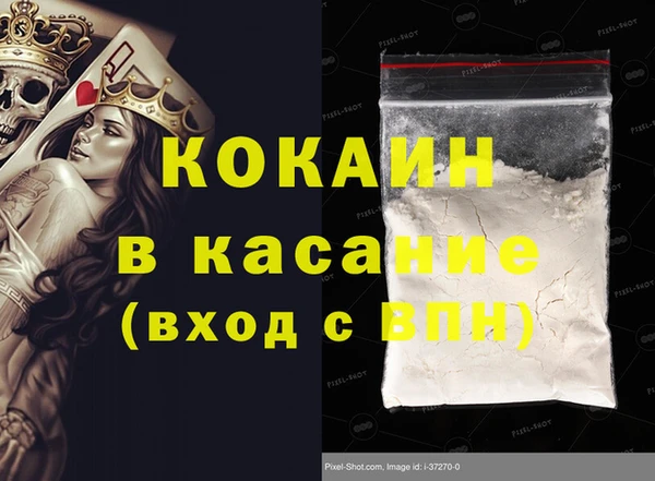 индика Ладушкин