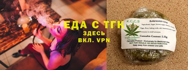 индика Ладушкин