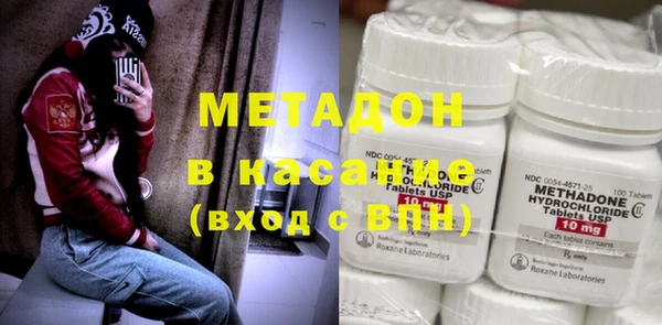 индика Ладушкин