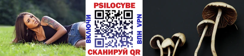 дарнет шоп Дрезна Галлюциногенные грибы GOLDEN TEACHER