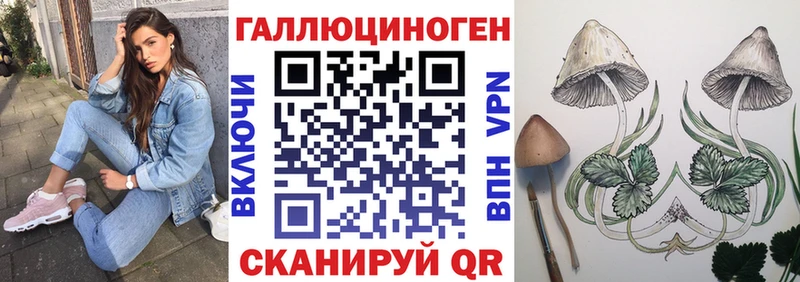 Псилоцибиновые грибы прущие грибы Дрезна